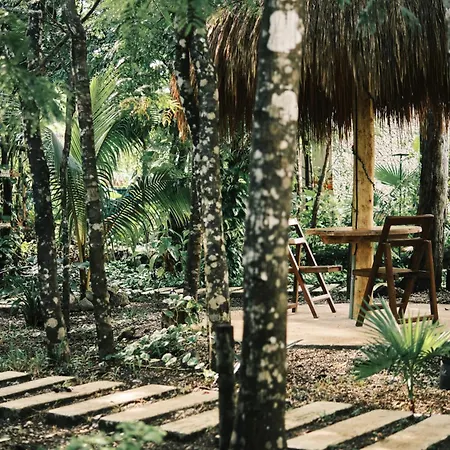 Villas Zamna - Jungle Villas Cozumel Exterior photo