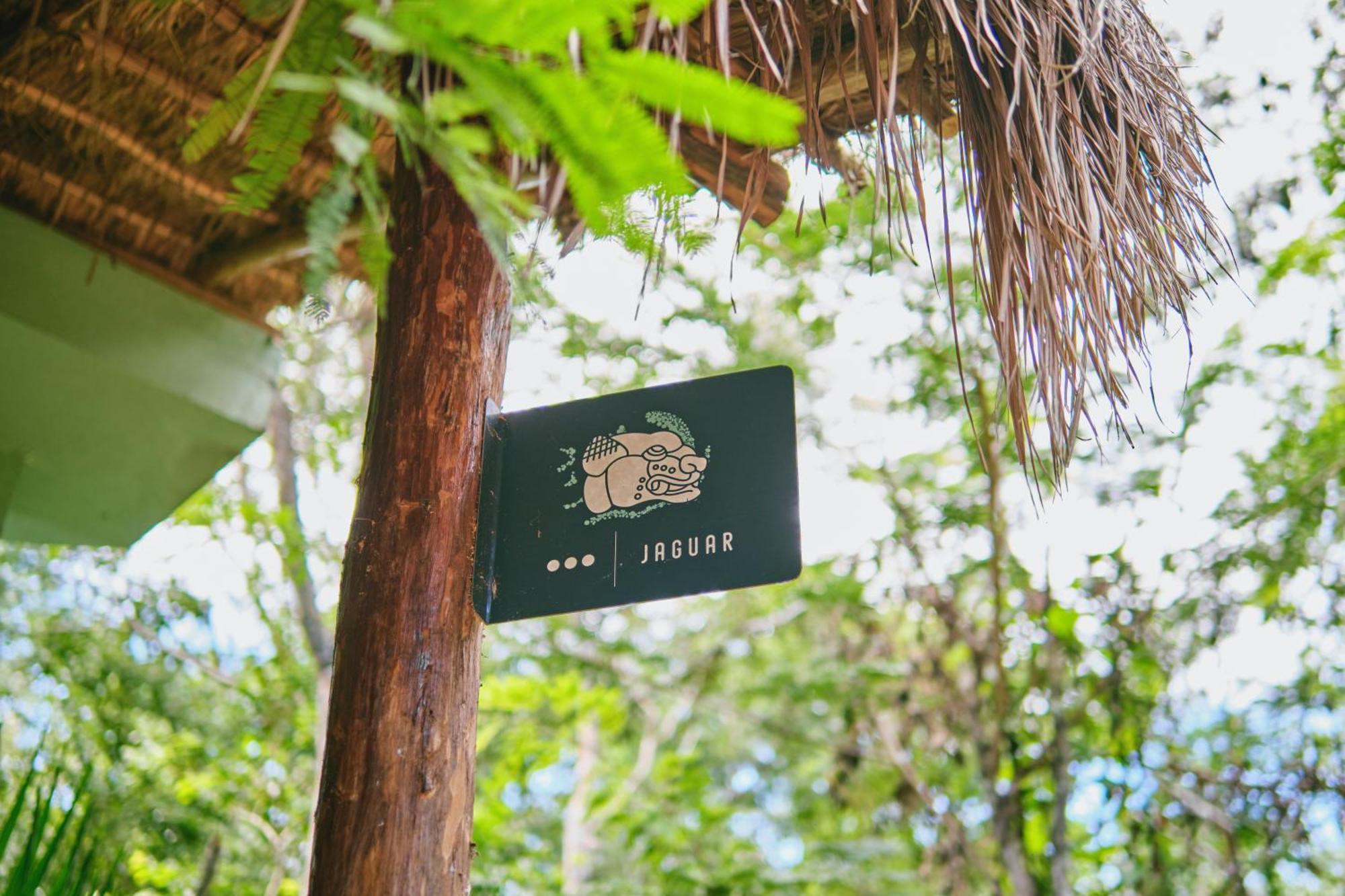 Zamna - Jungle *