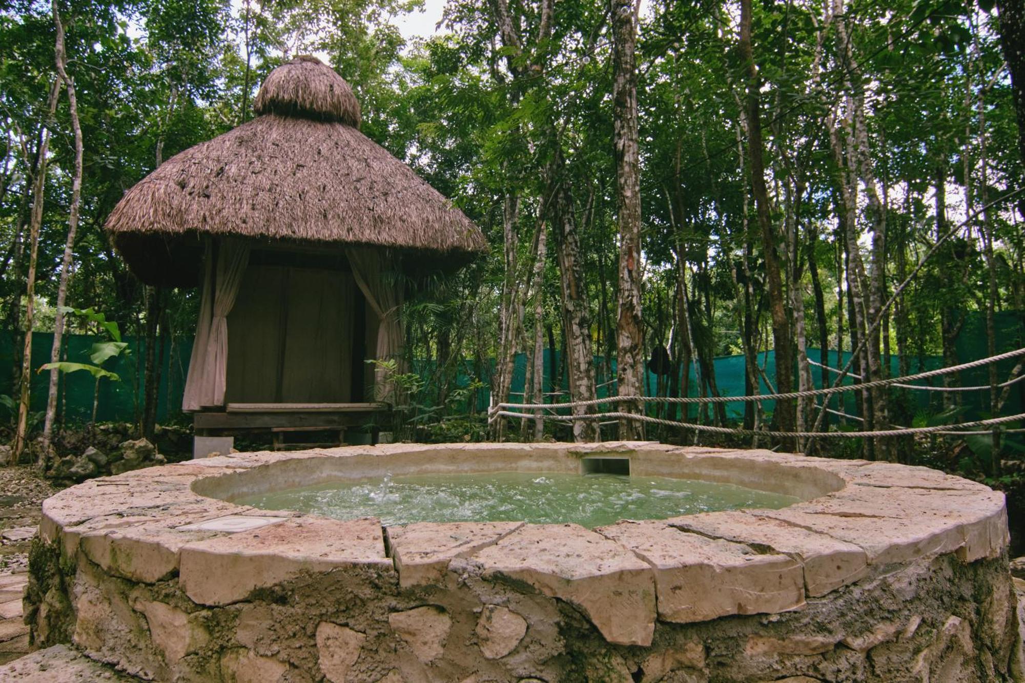 Zamna - Jungle